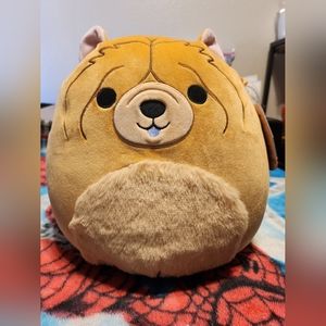 Sandro the Chow Chow Squishmallow (Rare)